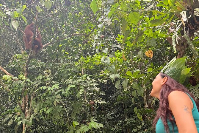 3 Days Orangutan Sumatra Jungle Trekking with Rafting - Final Thoughts