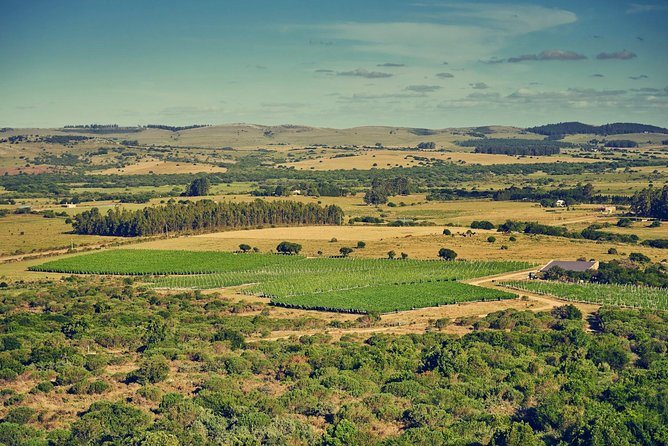 Premium Tasting Viña Edén - The Final Word