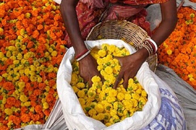 Half Day Tour to the Flower Market and Howrah Bridge in Kolkata - What the tour offers beyond the highlights