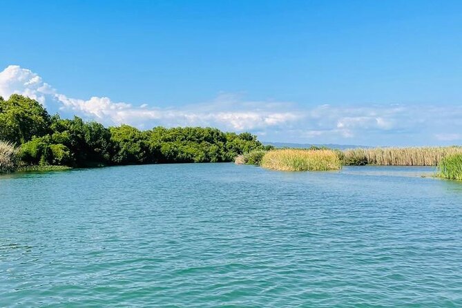 Black River Safari YS Falls Lunch Classic Combo From Negril - Deep Dive into the Experience