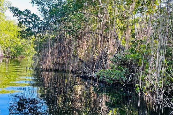 Black River Safari YS Falls Lunch Classic Combo From Negril - Final Thoughts