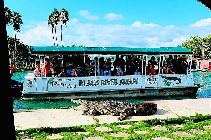 Black River Safari YS Falls Lunch Classic Combo From Negril - Who Is This Tour Perfect For?