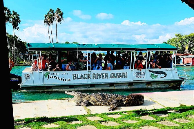 Black River Safari YS Falls Lunch Classic Combo From Negril - Key Points