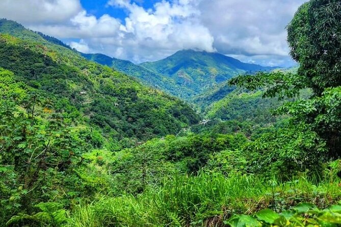 Rio Grande Bamboo Rafting Tour from Port Antonio - Practical Information and FAQs