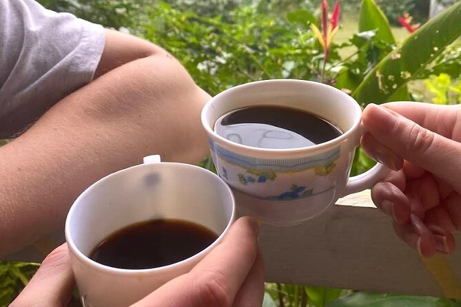 Coffee Farm Tour from Port Antonio - Key Points