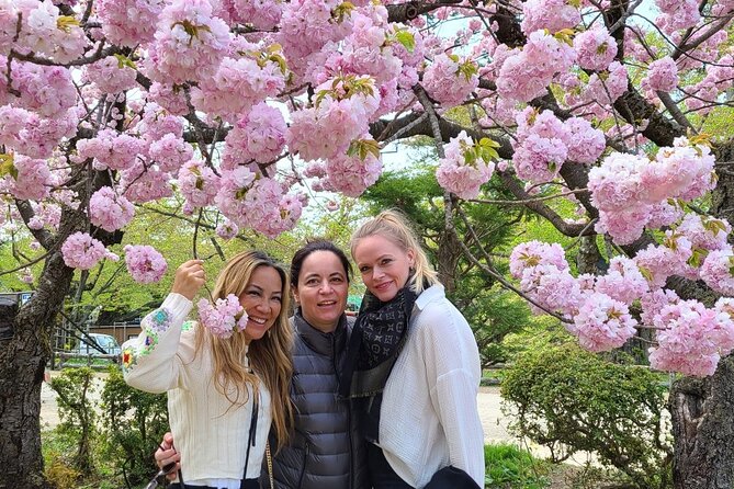 Hirosaki 6hr Private Tour with Government-Licensed Guide - Detailed Breakdown of the Experience