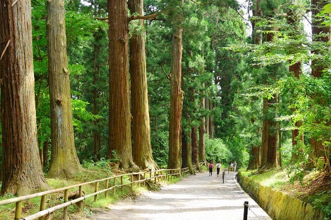 Hiraizumi Half-Day Private Trip with Government-Licensed Guide - Key Points