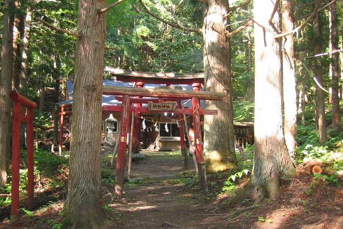 All Must-Sees Tono Private Tour with Government-Licensed Guide - Key Points