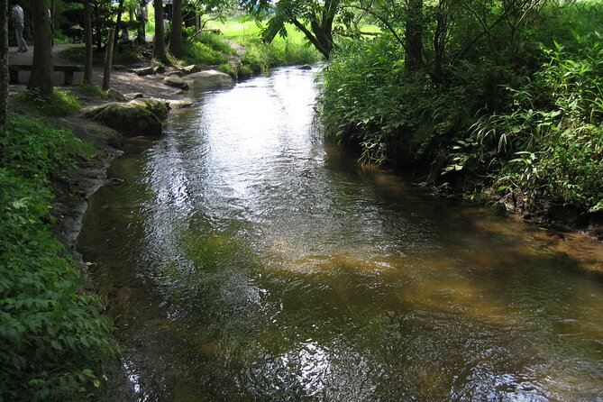 All Must-Sees Tono Private Tour with Government-Licensed Guide - Who Will Love This Tour?