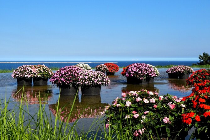 Hitachi Seaside Park and Mito Highlights Tour - Fresh Catch at Nakaminato Fish Market