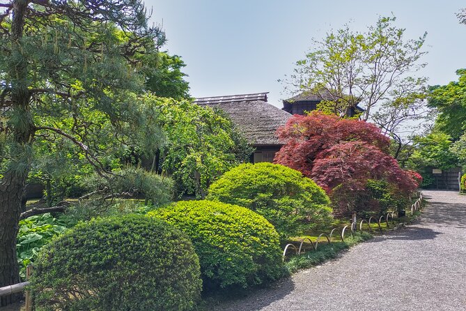 Hitachi Seaside Park and Mito Highlights Tour - What to Expect in Terms of Logistics and Value