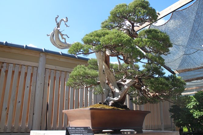 Bonsai Museum & Bonsai Experience - Who Will Enjoy This Tour?
