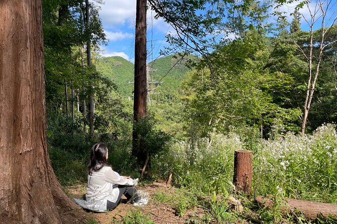 Ecotourism and Woodcraft with a Mountain Artist Near Tokyo - Price and Value: Is It Worth It?