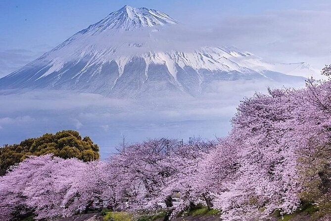 Mt. Fuji and Hakone Private Tour with English Speaking Driver - Key Points