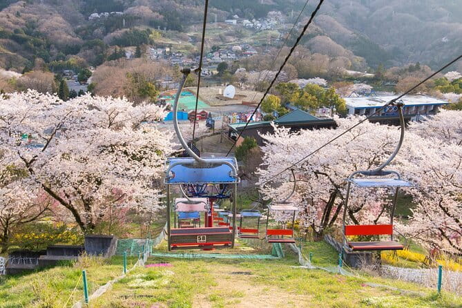 Sagamiko Resort Pleasure Forest Ticket and Ride Pass - Who Should Consider This Experience?