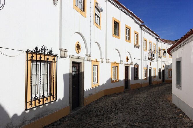 Évora Private Walking Tour with a Professional Guide - Key Points