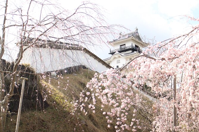 Kakegawa Castle and Sake Tasting Private Tour with Public Train - Price and Value: Is it Worth It?