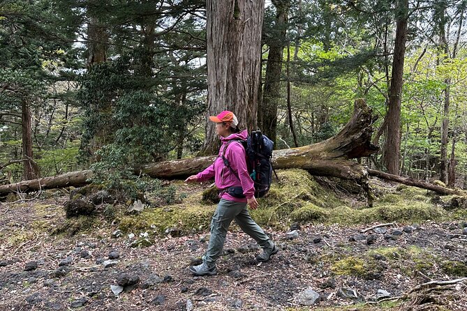 Private Mt Fuji Car and Hiking Experience from Gotemba - A Detailed Look at the Private Mt Fuji Car and Hiking Experience from Gotemba