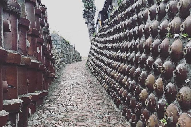 Nagoya Half-day Private Custom Tour with National Licensed Guide - Exploring Nagoya with a Private Guide