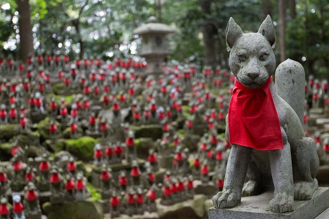 Nagoya Half-day Private Custom Tour with National Licensed Guide - Good To Know