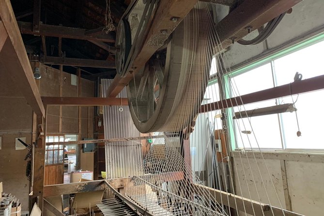 Amanohashidate Sand bar & culture e-bike tour - Who Will Enjoy This Tour?