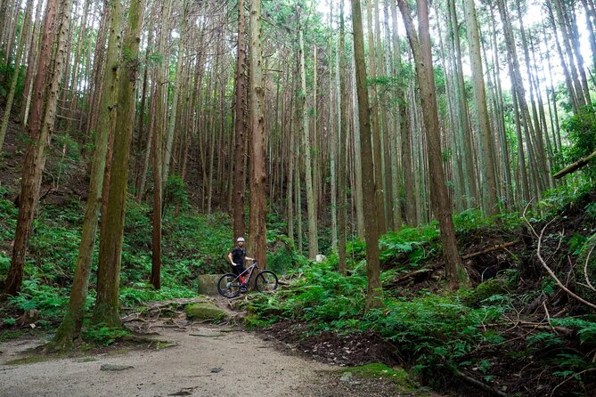 Half Day E Bike Tour in Kasagi Countryside - Exploring the Kasagi Countryside: A Detailed Breakdown