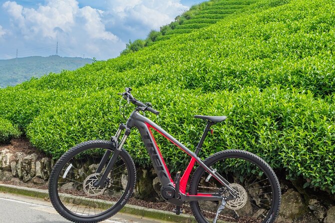 Half Day E Bike Tour in Kasagi Countryside - Final Thoughts