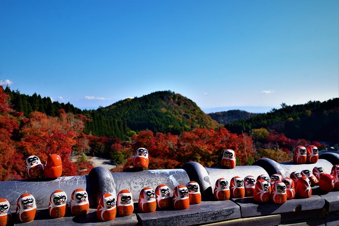 Osaka: Katsuo-ji Temple with Hundreds of Daruma Figures - Who Should Consider This Tour