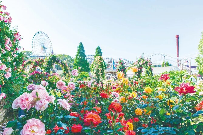 Hirakata Park Adventure Admission Ticket - An Authentic Day at Hirakata Park