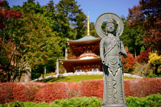 Minoh Katsuoji Temple Walking Tour with Local Guide - Who Should Consider This Tour?