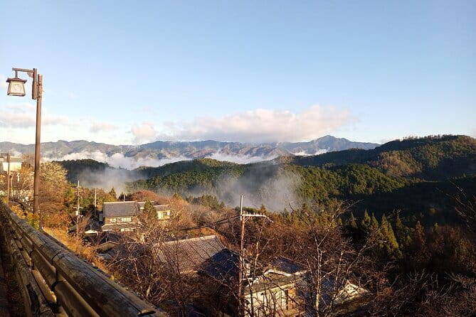 Private tour of rural Japan mountains, onsen and craft beer - Who Should Book This Tour?