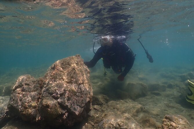 Shared Scuba Diving Trip in Kushimoto - The Experience: What You Can Expect