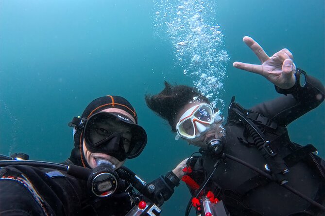 Shared Scuba Diving Trip in Kushimoto - A Deep Dive into the Details: What Makes It Stand Out
