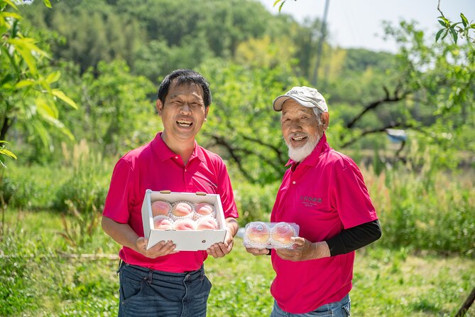 Nakatsu Orchard Fruit Tasting Tour - Exploring the Itinerary: What to Expect