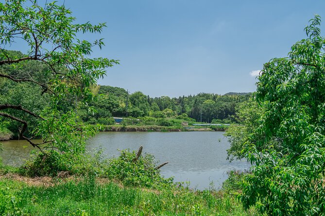 Nakatsu Orchard Fruit Tasting Tour - The Sum Up