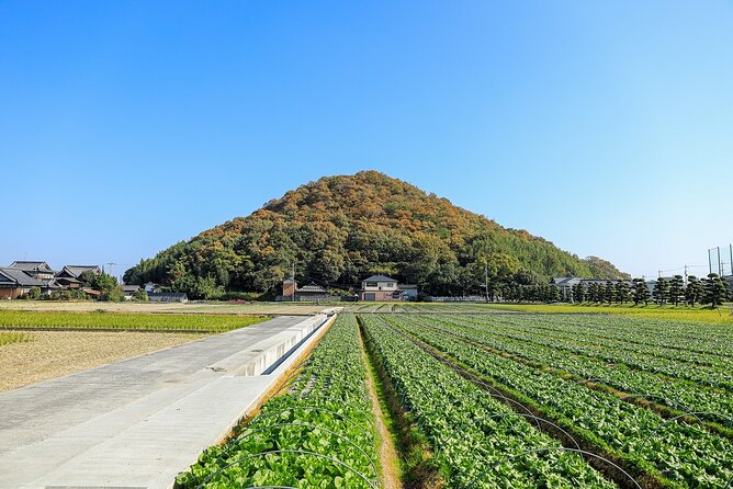 Spend Special Time Enjoying Local Food in Zentsuji, Kagawa - Exploring Zentsuji: A Cultural and Culinary Treasure