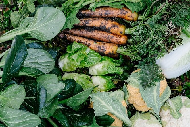 Spend Special Time Enjoying Local Food in Zentsuji, Kagawa - Quick Overview