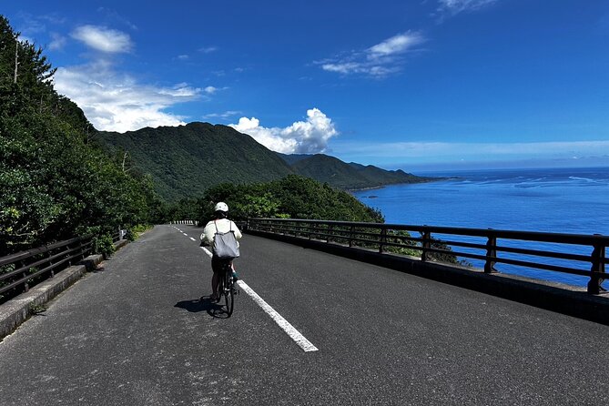 Yakushima Electric Bike Rentals - What Makes This Service Stand Out?