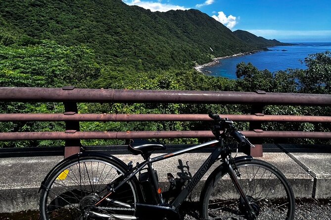 Yakushima Electric Bike Rentals - Potential Drawbacks and Considerations