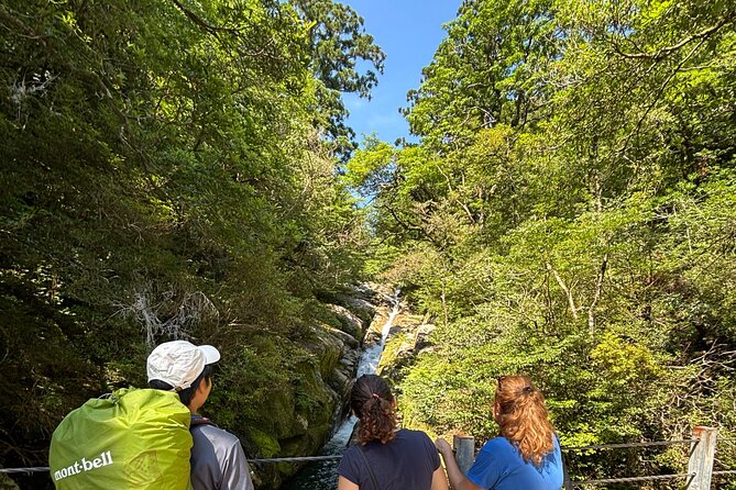 1 Day Shiratani Unsuikyo Adventure - The Sum Up