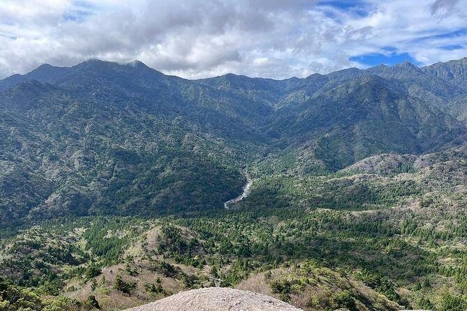 1 Day Shiratani Unsuikyo Adventure - Exploring the 1 Day Shiratani Unsuikyo Adventure: A Natural Journey through Yakushima’s Mystical Forests