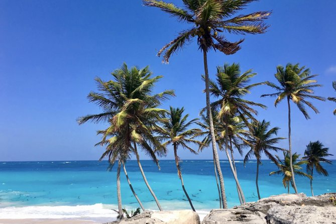 Private Half-Day Barbados Excursion - Summary: The Bottom Line