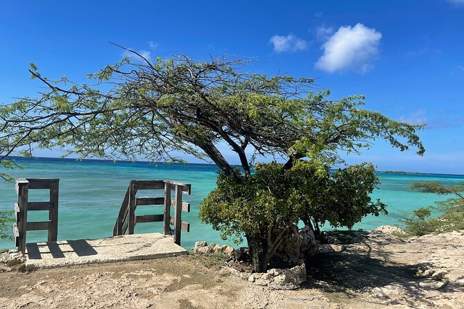 Private VIP Tours in Aruba - Exploring the Aruba Private VIP Tour in Detail