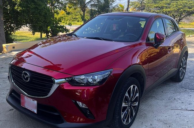 Private Pick Up or Drop Off in Aruba - A Closer Look at the Experience