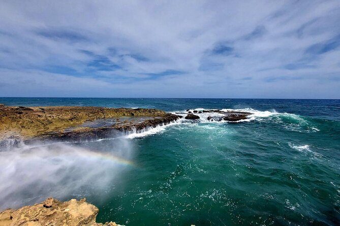 Aruba Private 8 Hour Full Island Customized Adventure Tour - Key Points