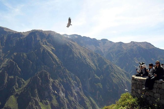 Colca Full Day - What to Expect From the Experience
