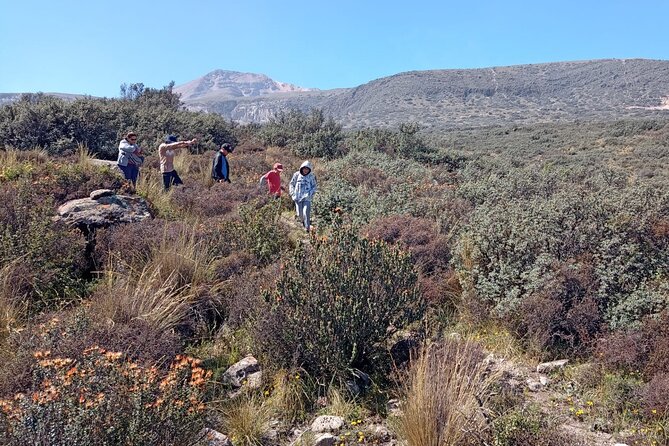 Arequipa Half Day Countryside Hiking Tour - Who Will Love This Tour?