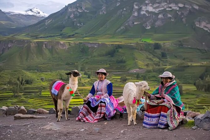 2-Day Tour to the Magical Colca Canyon - Transportation, Group Size, and Comfort