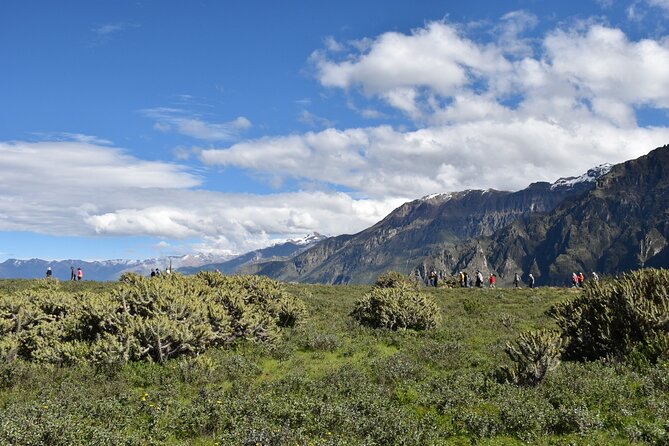 2-Day Tour to the Magical Colca Canyon - Recent Traveler Feedback: What They Loved and What Could Improve