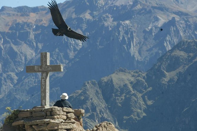 Full day Colca Canyon tour from Arequipa - Who Should Take This Tour?